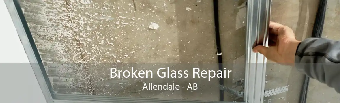 Broken Glass Repair Allendale - AB