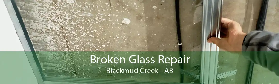 Broken Glass Repair Blackmud Creek - AB