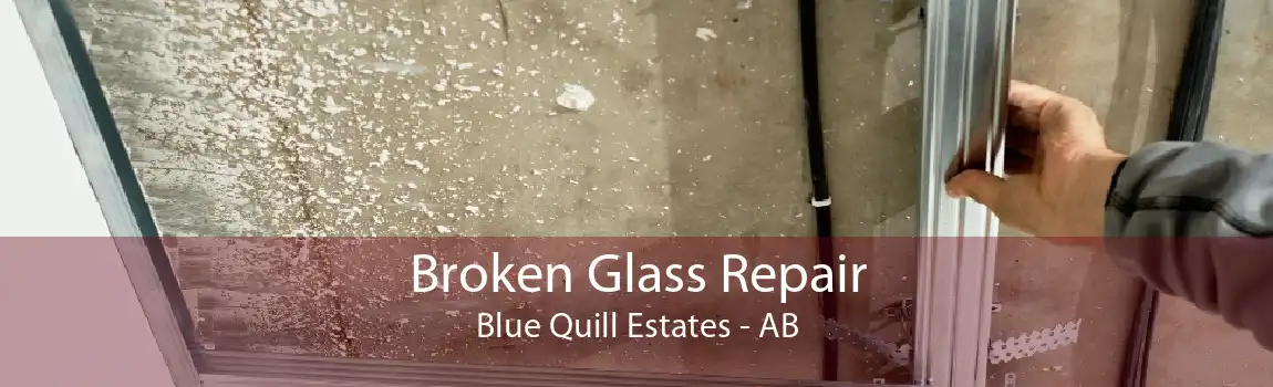 Broken Glass Repair Blue Quill Estates - AB