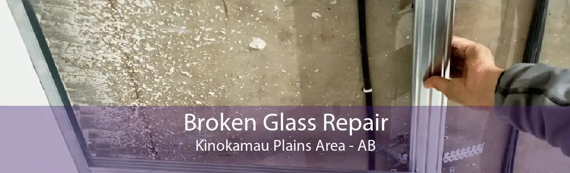 Broken Glass Repair Kinokamau Plains Area - AB