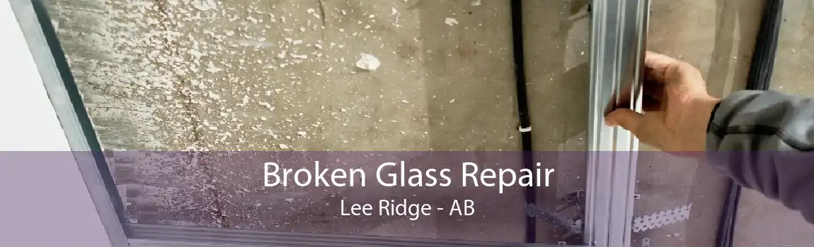 Broken Glass Repair Lee Ridge - AB