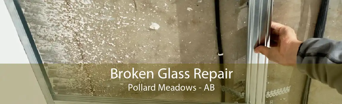 Broken Glass Repair Pollard Meadows - AB