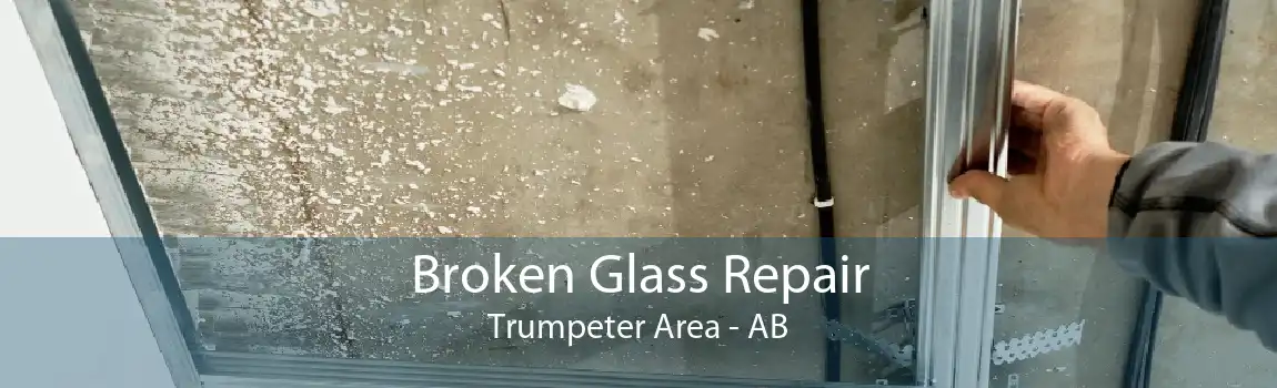 Broken Glass Repair Trumpeter Area - AB