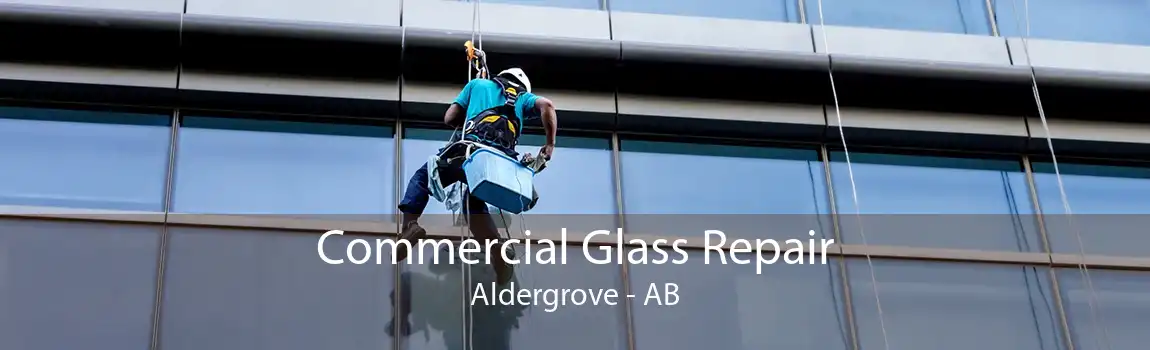 Commercial Glass Repair Aldergrove - AB