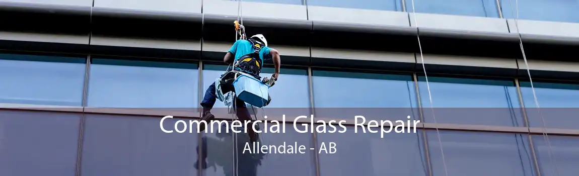 Commercial Glass Repair Allendale - AB