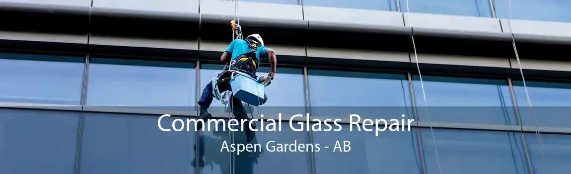 Commercial Glass Repair Aspen Gardens - AB