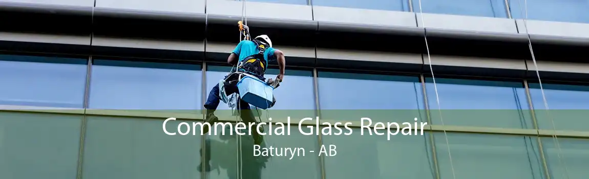 Commercial Glass Repair Baturyn - AB