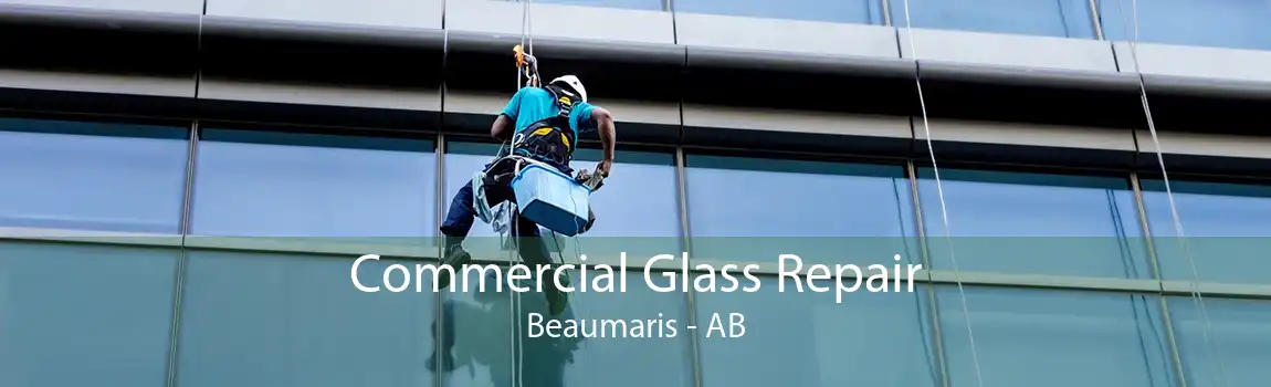 Commercial Glass Repair Beaumaris - AB