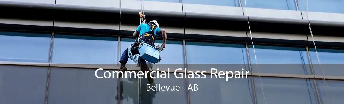 Commercial Glass Repair Bellevue - AB