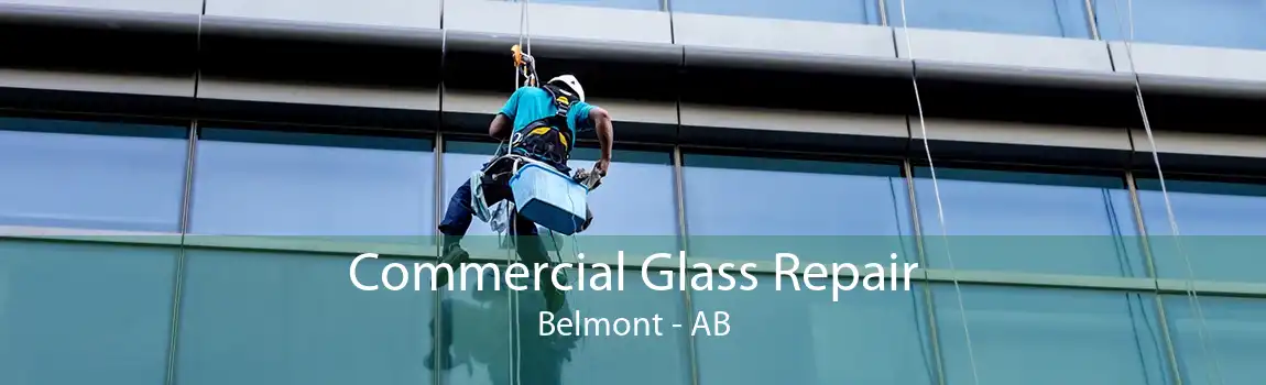 Commercial Glass Repair Belmont - AB