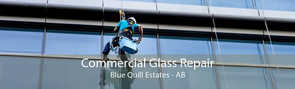 Commercial Glass Repair Blue Quill Estates - AB