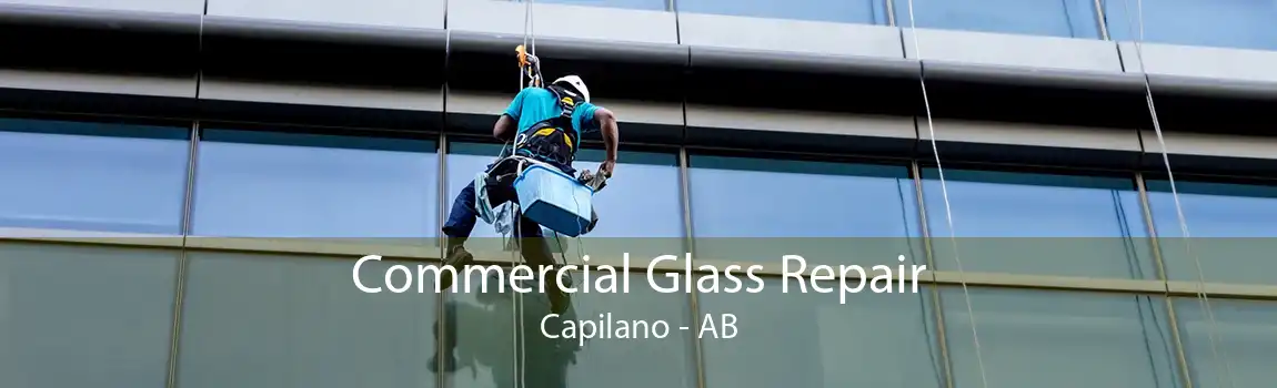 Commercial Glass Repair Capilano - AB