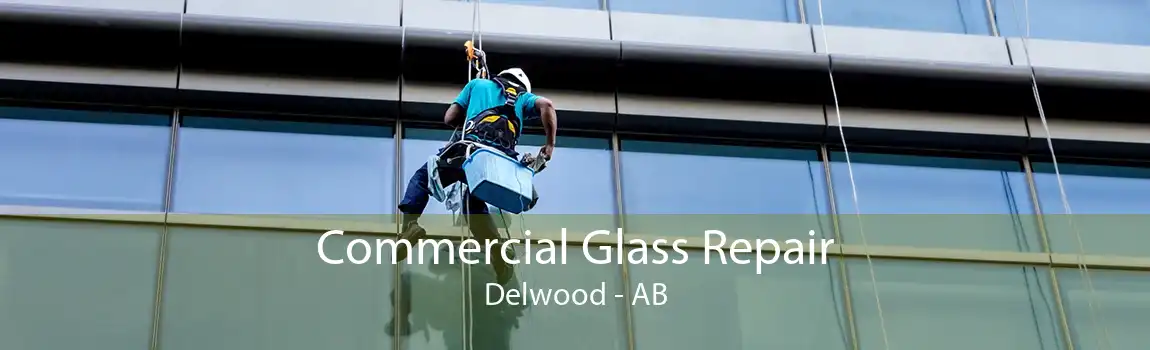 Commercial Glass Repair Delwood - AB