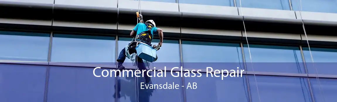 Commercial Glass Repair Evansdale - AB