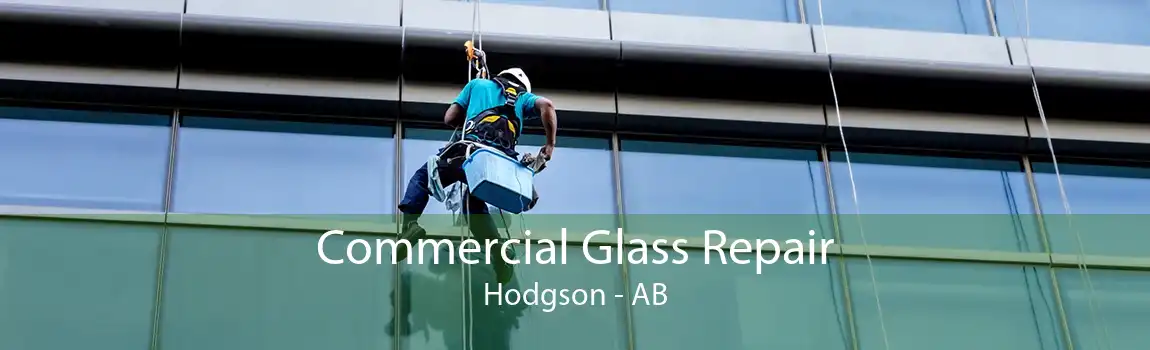 Commercial Glass Repair Hodgson - AB