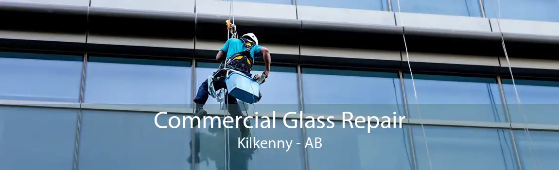 Commercial Glass Repair Kilkenny - AB