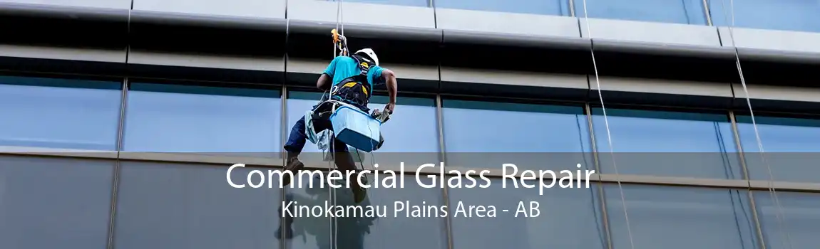 Commercial Glass Repair Kinokamau Plains Area - AB