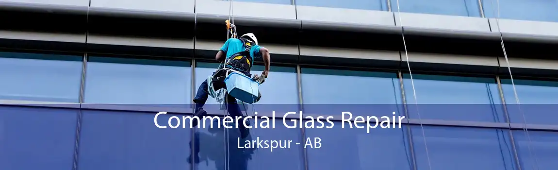 Commercial Glass Repair Larkspur - AB