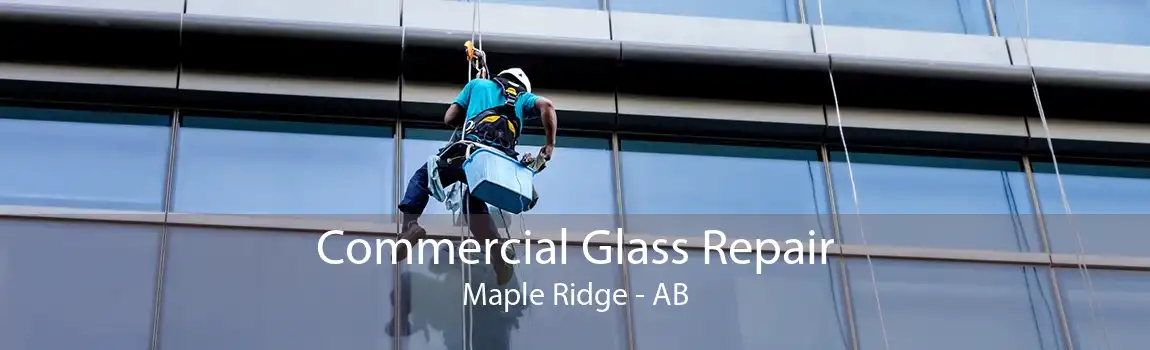 Commercial Glass Repair Maple Ridge - AB