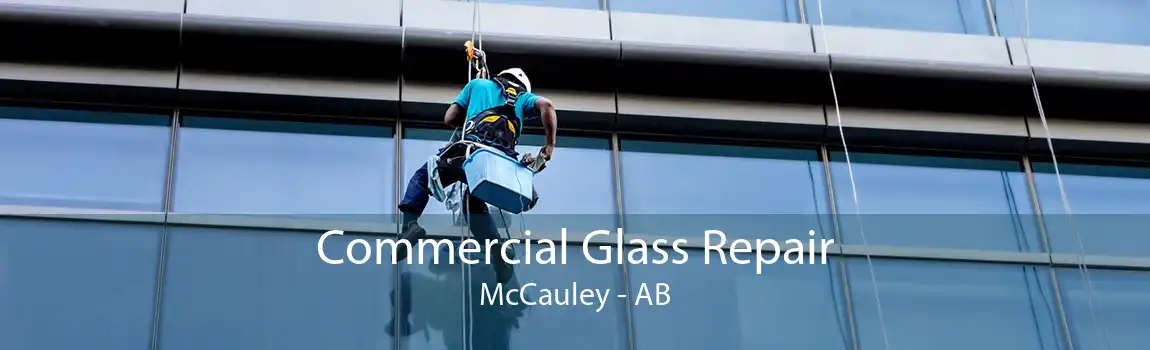 Commercial Glass Repair McCauley - AB