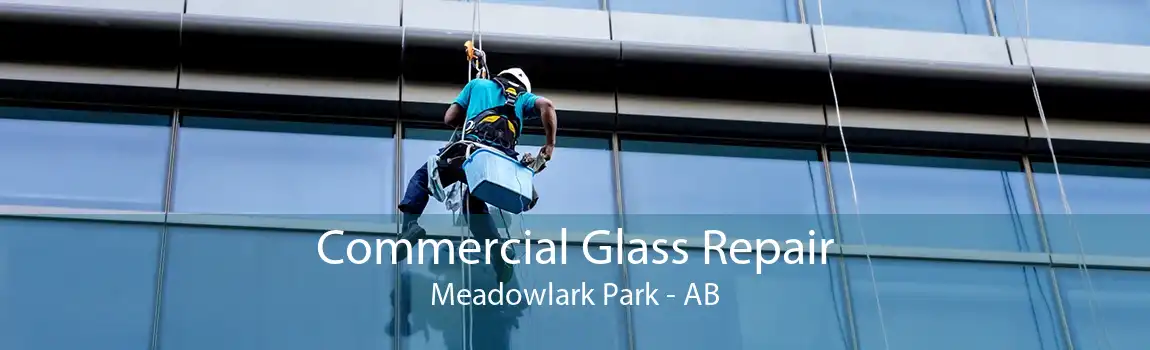 Commercial Glass Repair Meadowlark Park - AB