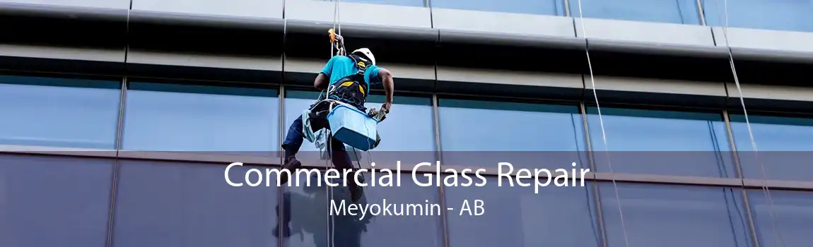 Commercial Glass Repair Meyokumin - AB