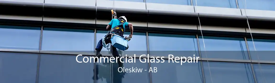 Commercial Glass Repair Oleskiw - AB