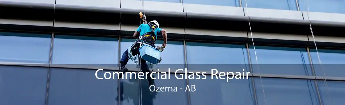 Commercial Glass Repair Ozerna - AB