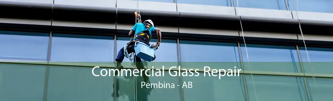 Commercial Glass Repair Pembina - AB