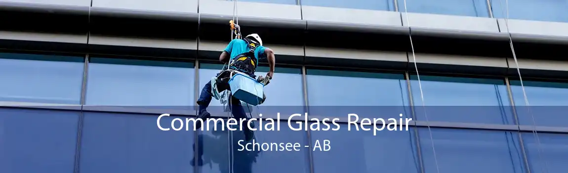 Commercial Glass Repair Schonsee - AB