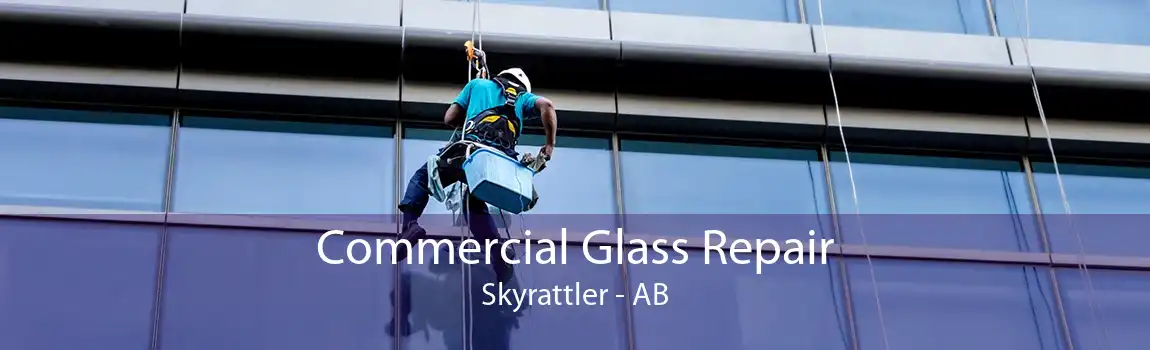 Commercial Glass Repair Skyrattler - AB