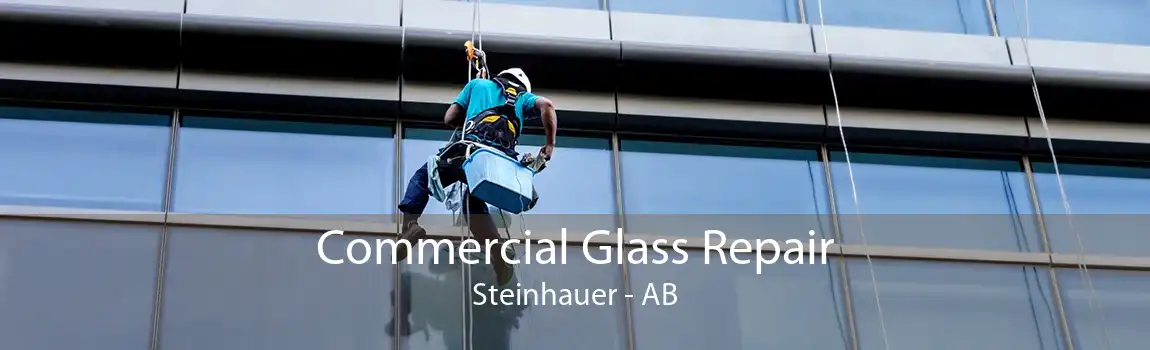 Commercial Glass Repair Steinhauer - AB