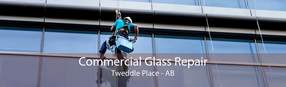 Commercial Glass Repair Tweddle Place - AB