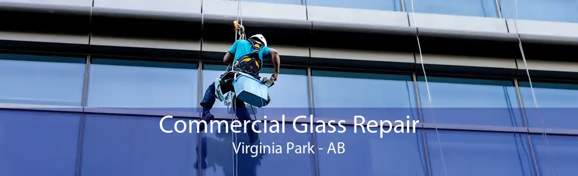 Commercial Glass Repair Virginia Park - AB