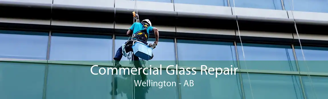 Commercial Glass Repair Wellington - AB