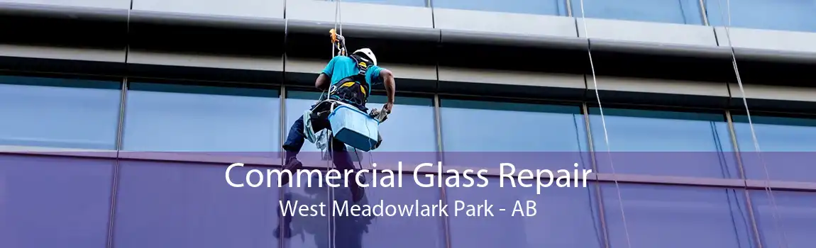 Commercial Glass Repair West Meadowlark Park - AB