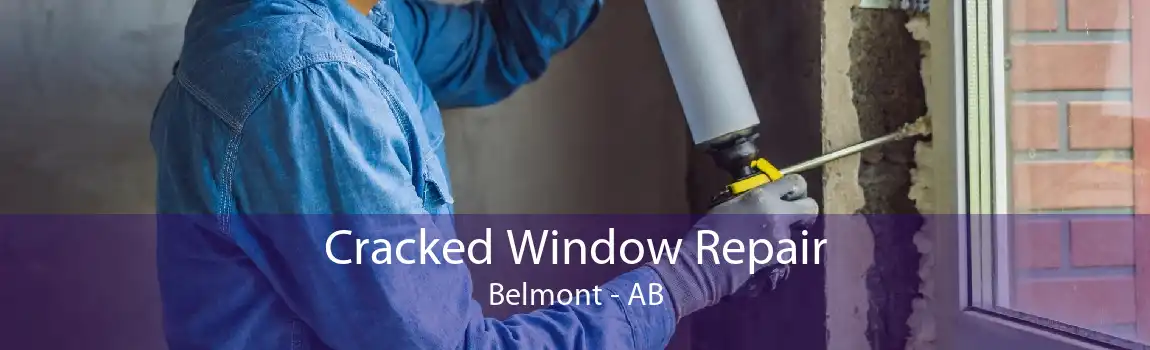 Cracked Window Repair Belmont - AB