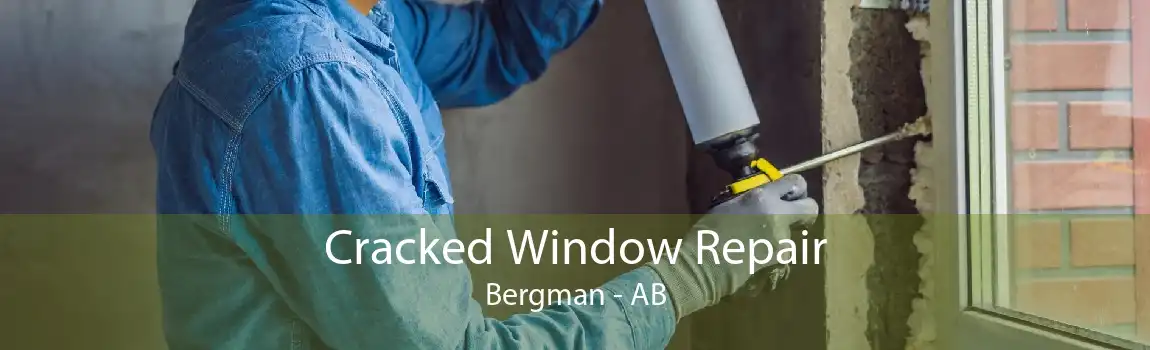 Cracked Window Repair Bergman - AB