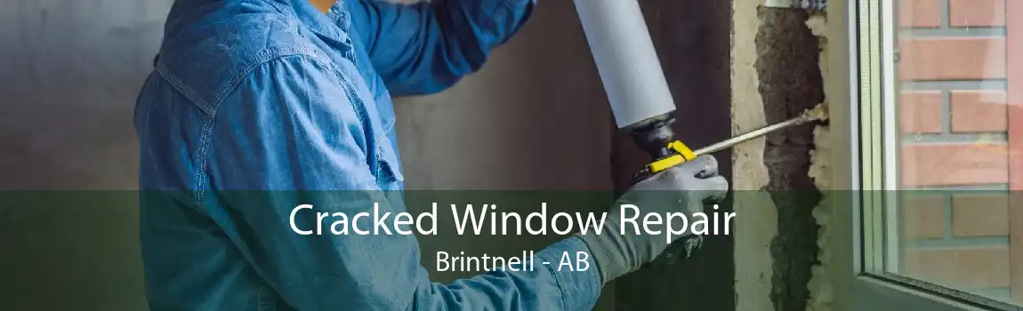 Cracked Window Repair Brintnell - AB