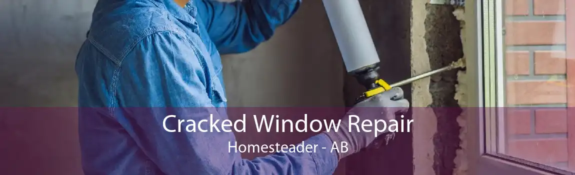 Cracked Window Repair Homesteader - AB