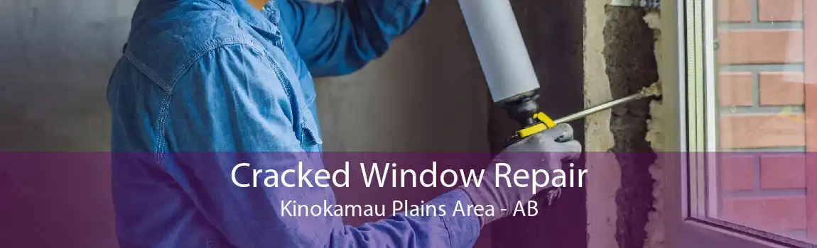 Cracked Window Repair Kinokamau Plains Area - AB