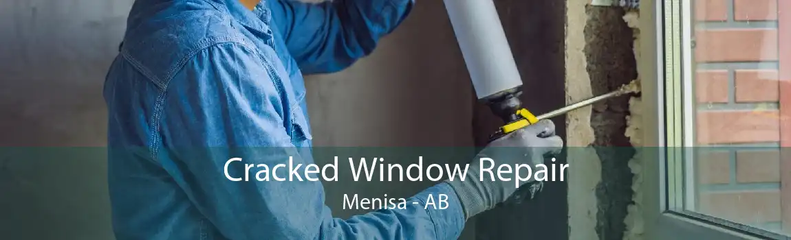 Cracked Window Repair Menisa - AB