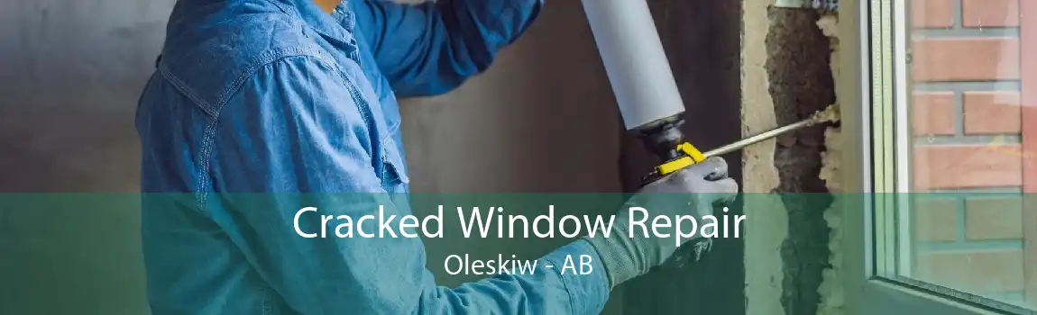 Cracked Window Repair Oleskiw - AB