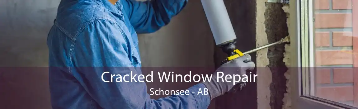 Cracked Window Repair Schonsee - AB