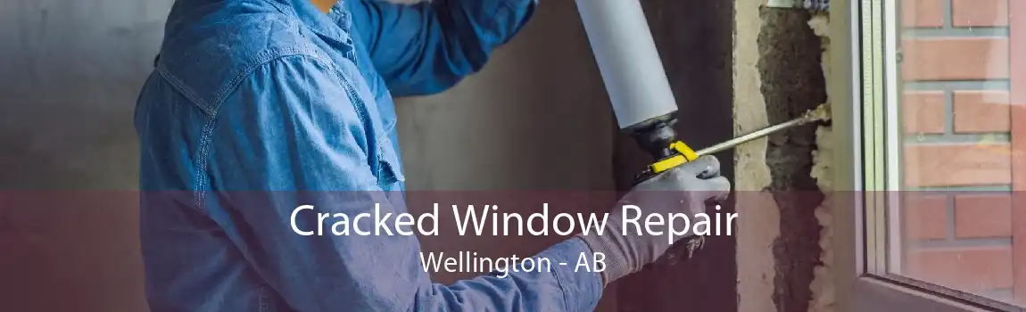 Cracked Window Repair Wellington - AB