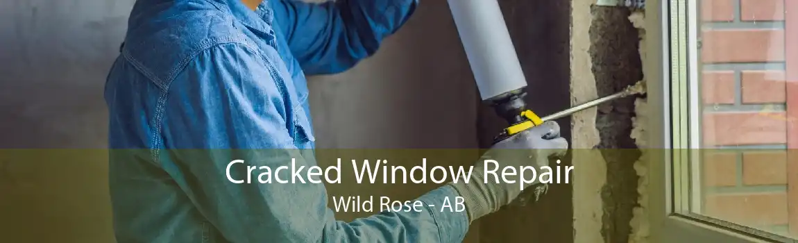 Cracked Window Repair Wild Rose - AB