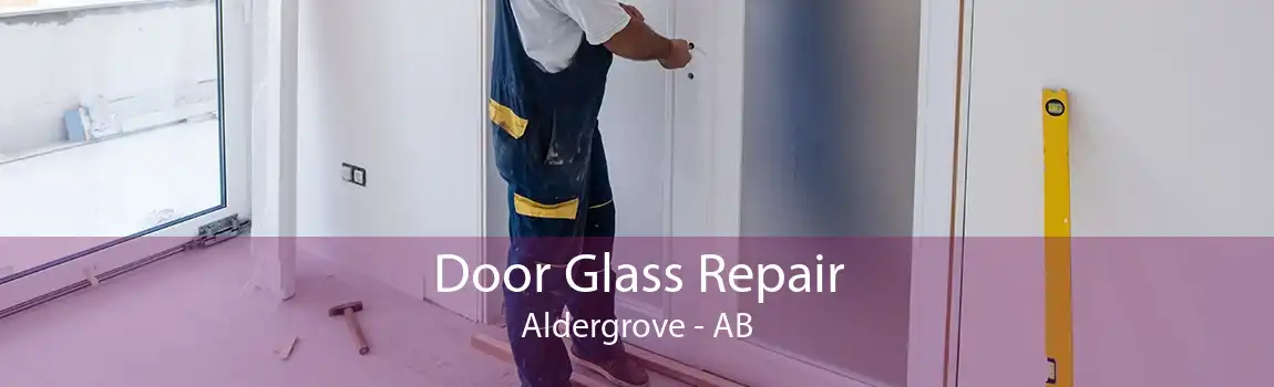 Door Glass Repair Aldergrove - AB