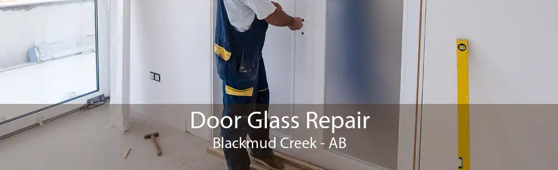 Door Glass Repair Blackmud Creek - AB