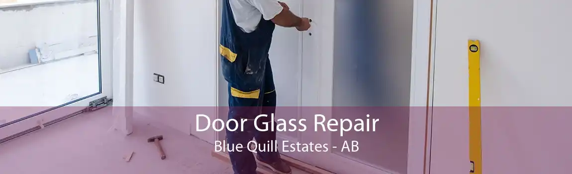 Door Glass Repair Blue Quill Estates - AB