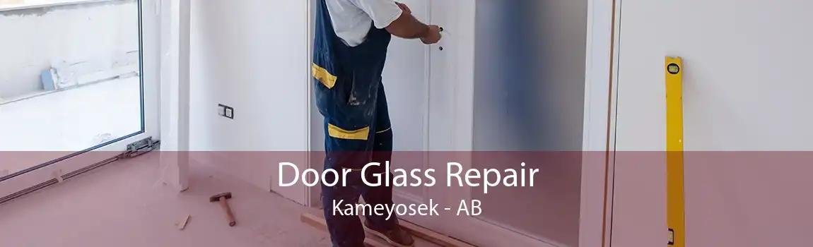 Door Glass Repair Kameyosek - AB